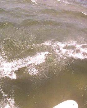 Breakwater to Beacon Race