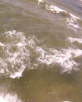 Breakwater to Beacon Race