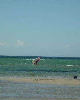 P1020005
