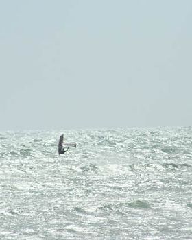 Geraldton Jan 2012