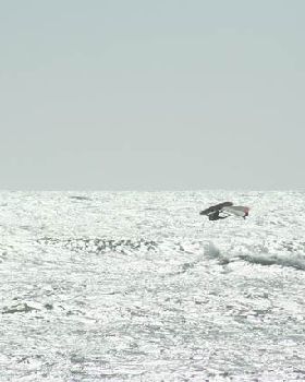 Geraldton Jan 2012