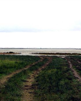 The road in