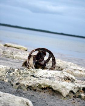wheel