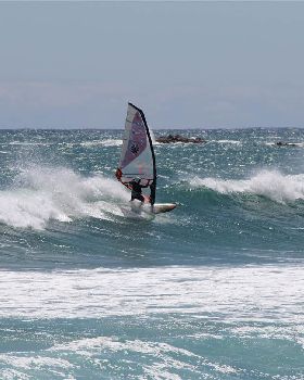 tassie 2-12 131