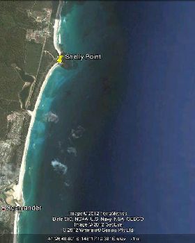 Shelly Point Scamanda