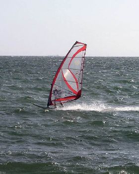 elwood210212 11