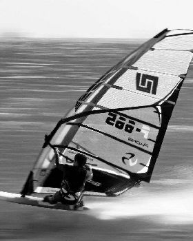 riding the fin