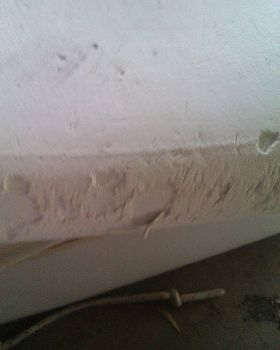 IMAG0273
