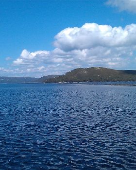 IMAG0202