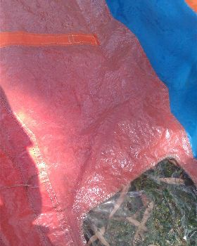 IMAG0289