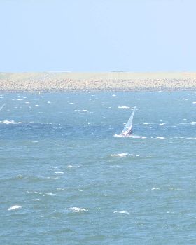 Botany Bay Windsurfing