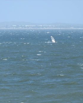 Botany Bay Windsurfing