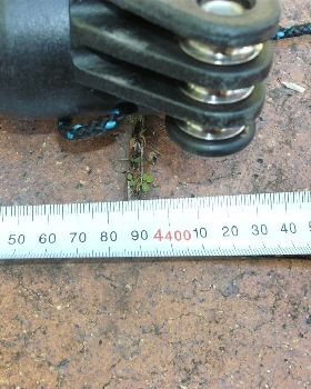 at 10, the mast length is exactly 440cm