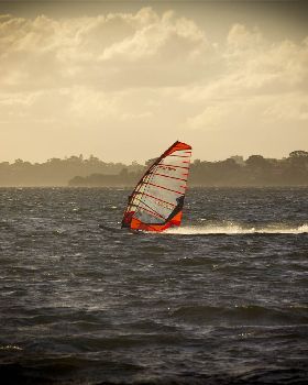 swan river 2