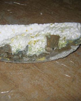 Don't use polyester based fillers like auto bog or plastibond!!