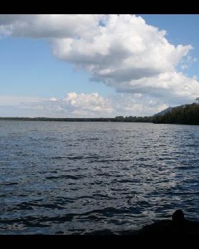 IMAGE016