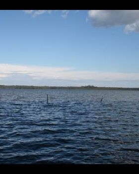 IMAGE017