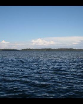IMAGE018