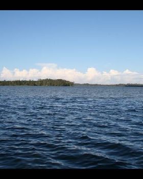 IMAGE019