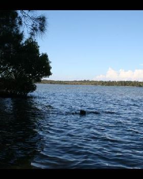 IMAGE020