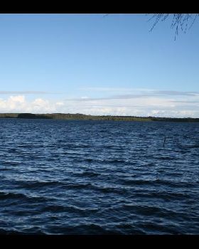 IMAGE001