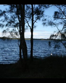 IMAGE002