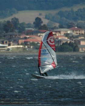 Locals at Lake Illawarra Sat 11th August