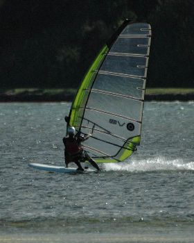 Locals at Lake Illawarra Sat 11th August