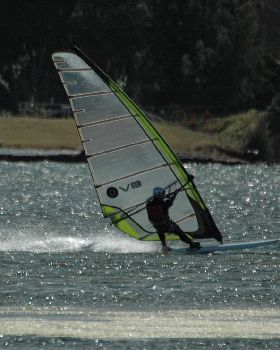 Locals at Lake Illawarra Sat 11th August