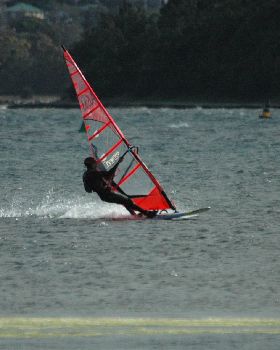 Locals at Lake Illawarra Sat 11th August