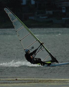 Locals at Lake Illawarra Sat 11th August