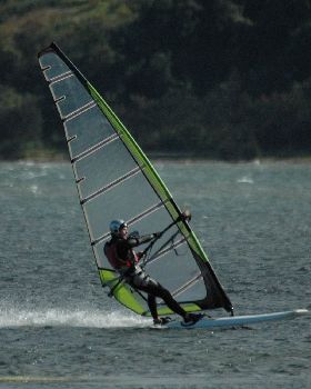 Locals at Lake Illawarra Sat 11th August