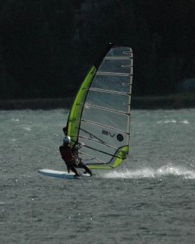 Locals at Lake Illawarra Sat 11th August