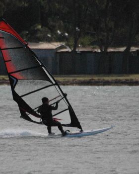 Locals at Lake Illawarra Sat 11th August