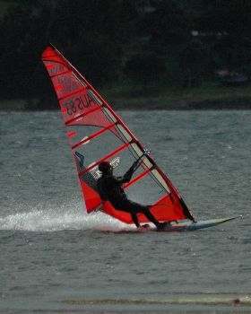 Locals at Lake Illawarra Sat 11th August