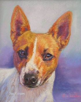 Some of my latest portait commissions