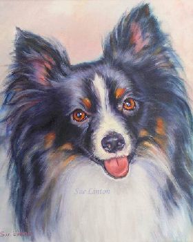 Some of my latest portait commissions