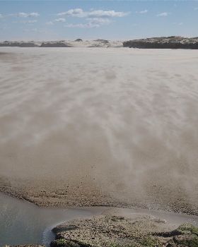 P8180395 (2)
