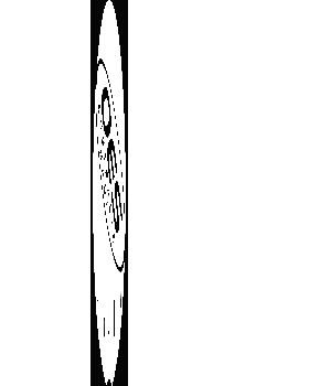 Final-bottom-concept