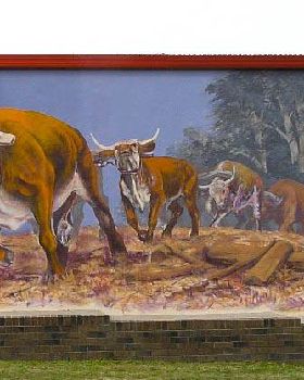 bullocky mural