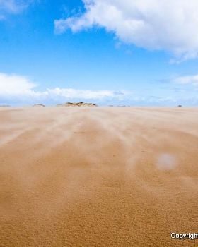 Sandy Point Speed Fortnight