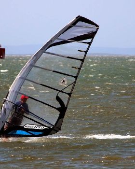 bayside race