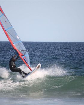q-IMG 3454