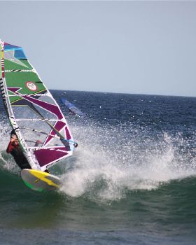 q-IMG 3535