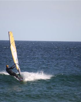 q-IMG 3549