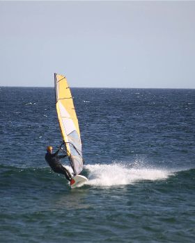 q-IMG 3550