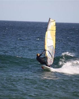 q-IMG 3553