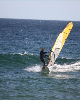 q-IMG 3554