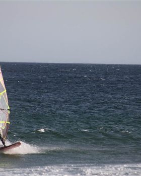 q-IMG 3575