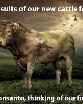 Monsanto-Cow-Poster